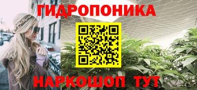 индика Комсомольск-на-Амуре