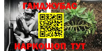 индика Комсомольск-на-Амуре